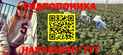 гашишное масло Ставрополь