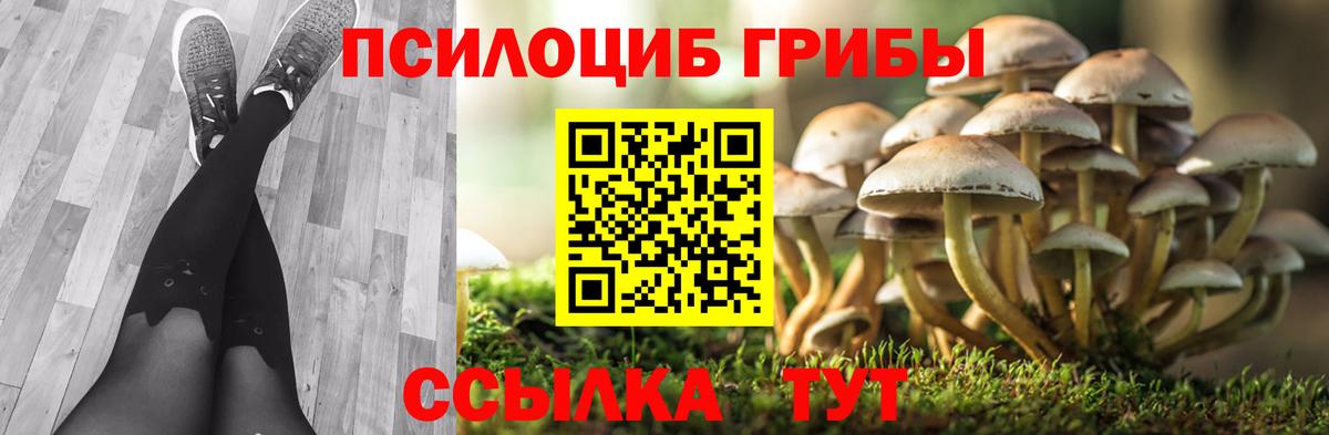 Галлюциногенные грибы Magic Shrooms  где можно купить наркотик  Архангельск  Вход с VPN 